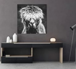 Sale Sonstige Acrylglasbild ALPAKA HIPPIE