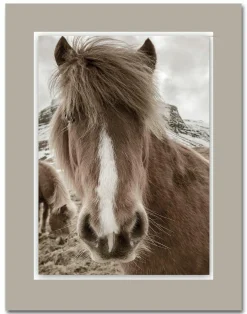 Sale WIEDEMANN Acrylglasbild ALUDIBOND