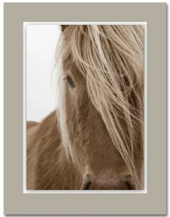 WIEDEMANN Acrylglasbild ALUDIBOND