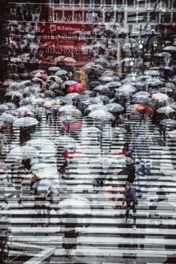 WIEDEMANN Acrylglasbild auf Aludibond