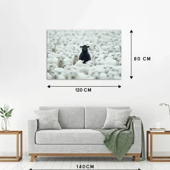 New Sonstige Acrylglasbild BLACK SHEEP