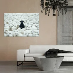 New Sonstige Acrylglasbild BLACK SHEEP