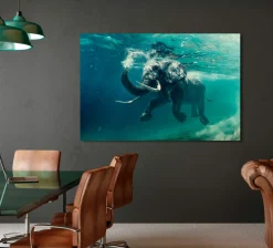 Sonstige Acrylglasbild ELEFANT