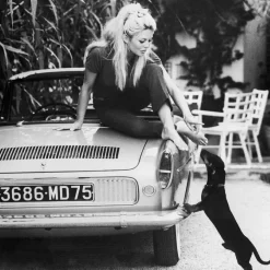 New queence Acrylglasbild Icons