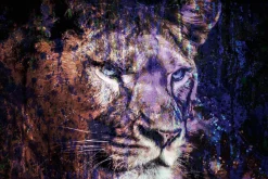 Sonstige Acrylglasbild LÖWE IN BLAU