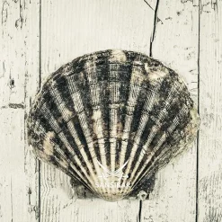 New SANSIBAR Acrylglasbild Living