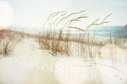 New SANSIBAR Acrylglasbild Living