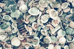 queence Acrylglasbild Sylt