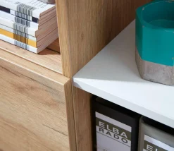 GERMANIA Aktenschrank LIONI