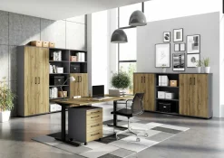 GERMANIA Aktenschrank PROFI 2.0