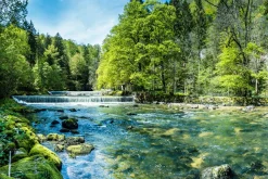 Sale Sonstige Akustikbild ALPENFLUßLAUF