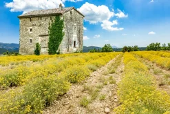 Sonstige Akustikbild BAUERNHAUS