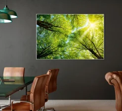 Sonstige Akustikbild BAUMKRONE 3