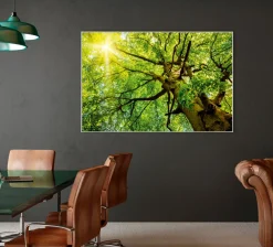 Sale Sonstige Akustikbild BAUMKRONE 2