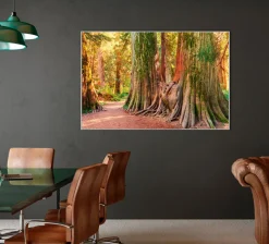 Outlet Sonstige Akustikbild BAUMWURZEL