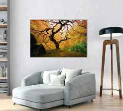 Online Sonstige Akustikbild DER BAUM