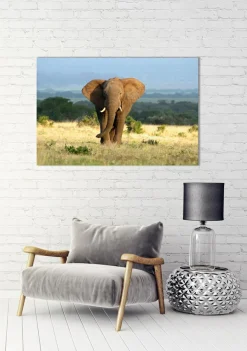 Sonstige Akustikbild ELEFANT