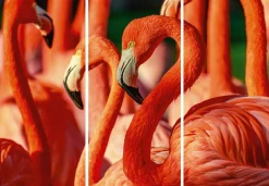 Best Sonstige Akustikbild FLAMINGOS