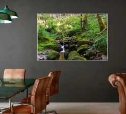 Sonstige Akustikbild FLUßLAUF IM WALD 2