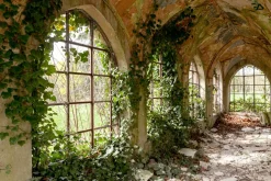 Best Sonstige Akustikbild FLUR