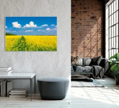 Best Sonstige Akustikbild GELBES RAPSFELD