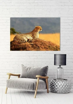 Sonstige Akustikbild GEPARD