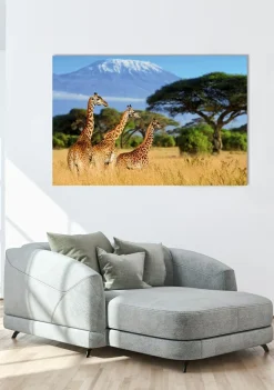 Sonstige Akustikbild GIRAFFEN