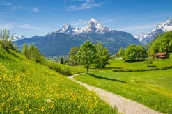 Sonstige Akustikbild GRÜNES TAL