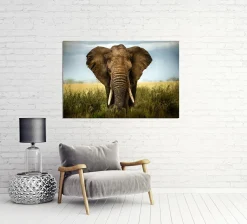Sale Sonstige Akustikbild GROßER ELEFANT