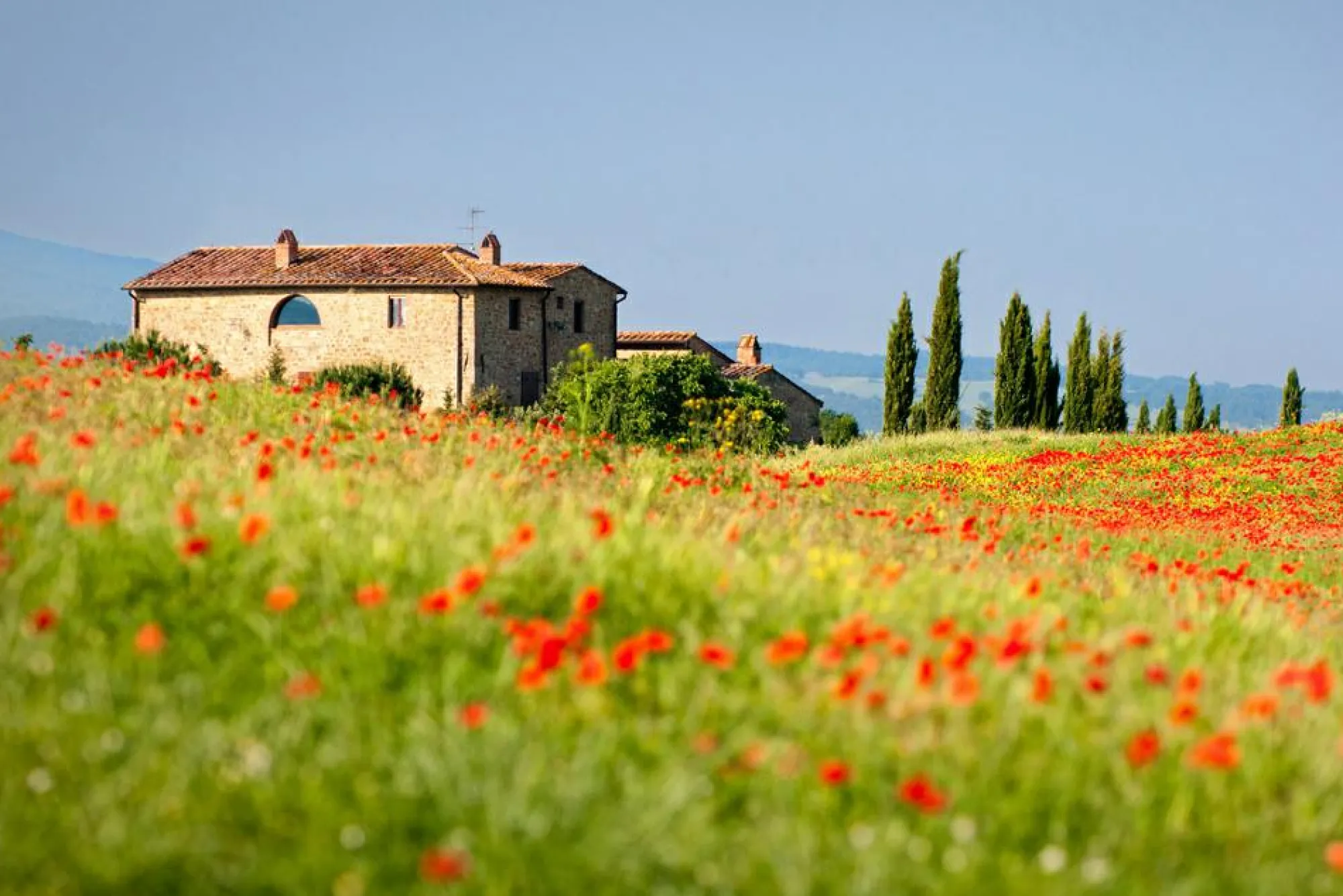 Online Sonstige Akustikbild HAUS MIT MOHNWIESE