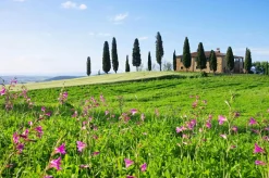 Online Sonstige Akustikbild HAUS TOSKANA