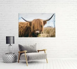 Outlet Sonstige Akustikbild HOCHLANDRIND