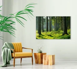 Sonstige Akustikbild HOCHWALD