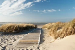 Sonstige Akustikbild HOLZWEG ZUM MEER 1