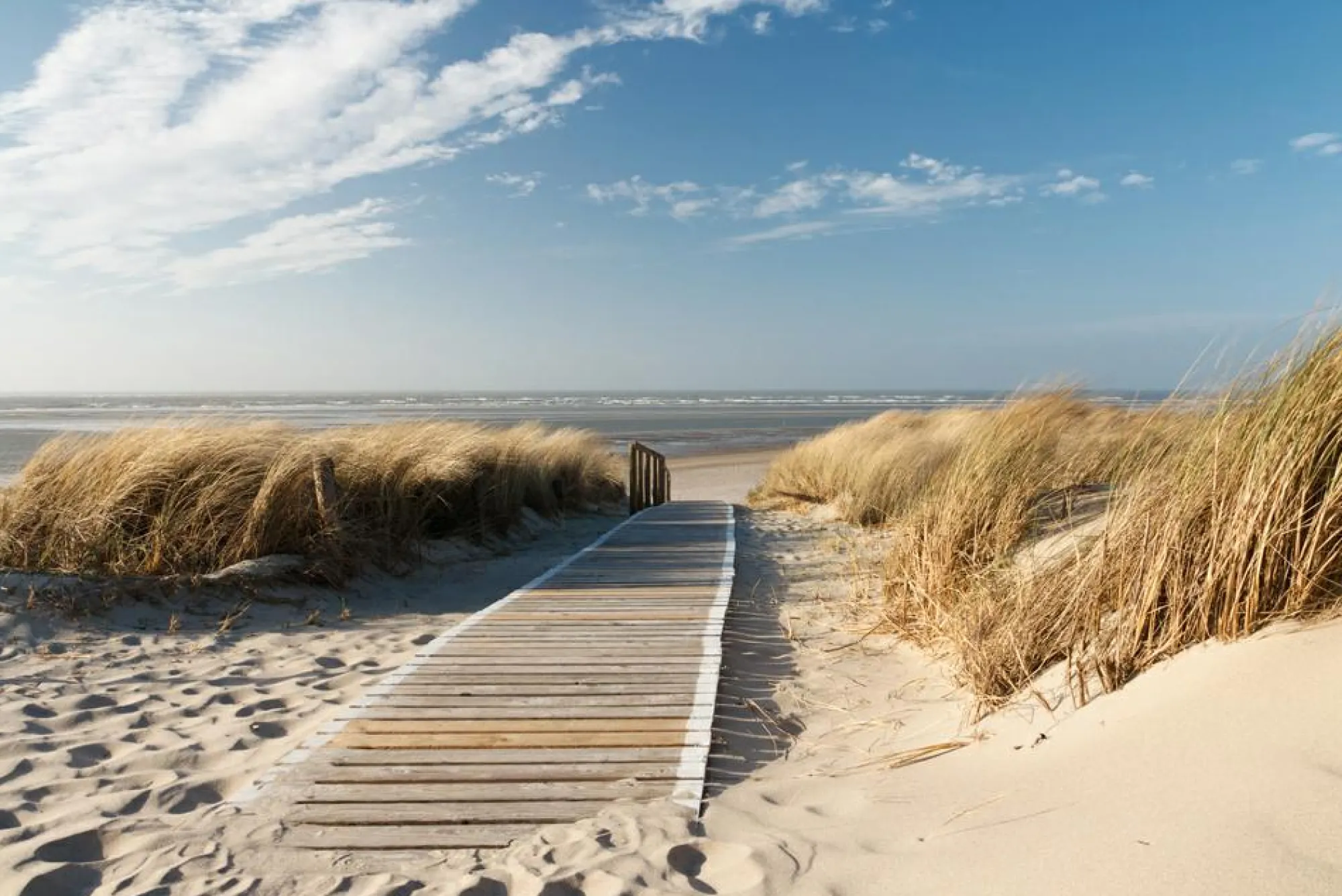 Sonstige Akustikbild HOLZWEG ZUM MEER 1