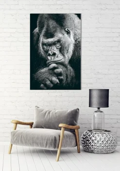 Sonstige Akustikbild IMPOSANTER GORILLA