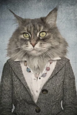 Sonstige Akustikbild KATZENFRAU