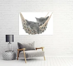 Sonstige Akustikbild KÄTZCHEN