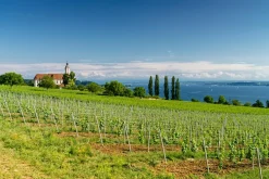 Discount Sonstige Akustikbild LANDSCHAFT