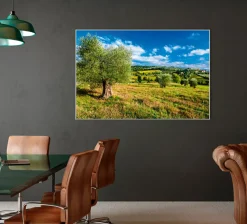 Outlet Sonstige Akustikbild LANDSCHAFT