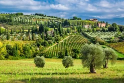 Sonstige Akustikbild LANDSCHAFT