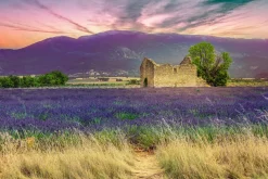 Sonstige Akustikbild LAVENDELFELD 9