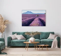 Sonstige Akustikbild LAVENDELFELD 8