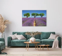 Sonstige Akustikbild LAVENDELFELD 6