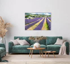 Sonstige Akustikbild LAVENDELFELD 3