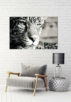 Sonstige Akustikbild LEOPARD