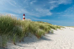 Online Sonstige Akustikbild LEUCHTTURM