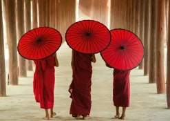 Sonstige Akustikbild MÖNCHE