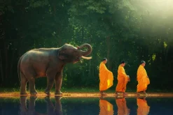 Clearance Sonstige Akustikbild MÖNCHWANDERUNG