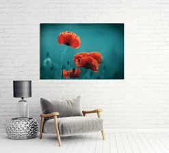 Sonstige Akustikbild MOHNBLUMEN 5